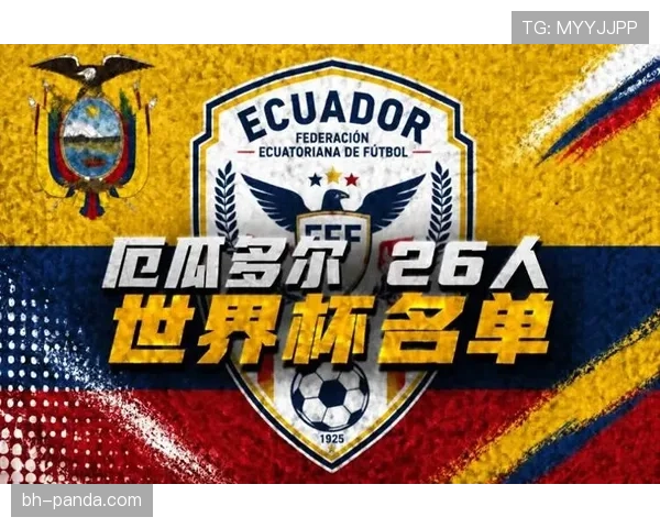 厄瓜多尔冲击世界杯历史最佳战绩